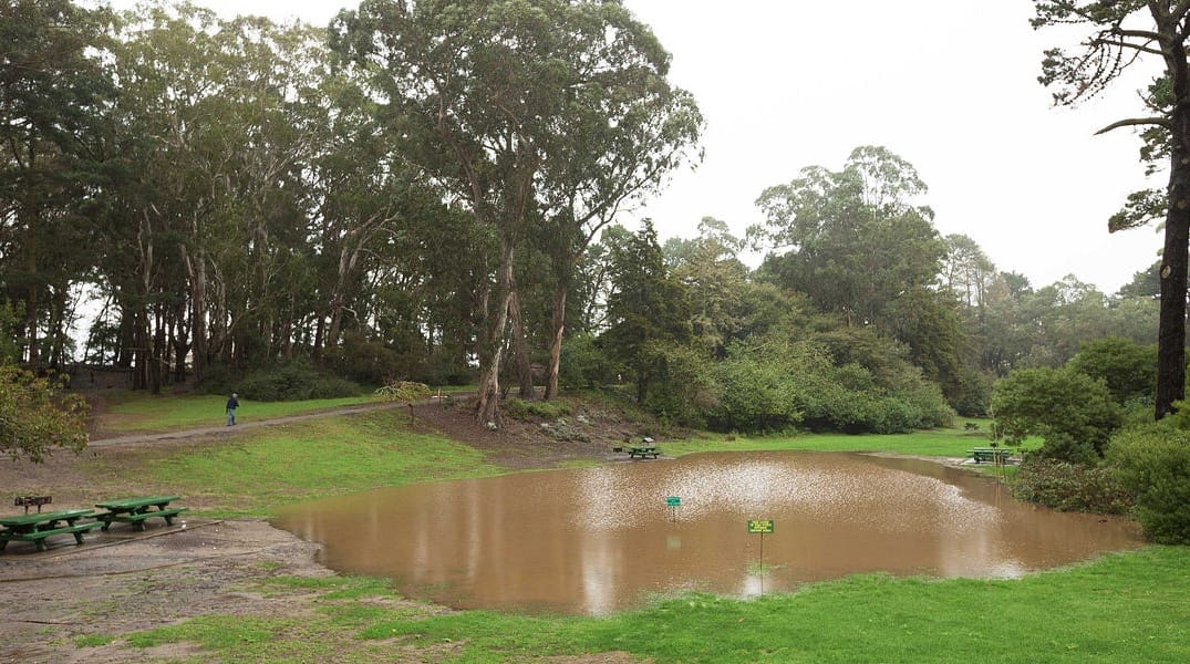 Storm Porn: Photos of Last Night’s Epic Storm — The Bold Italic — San Francisco