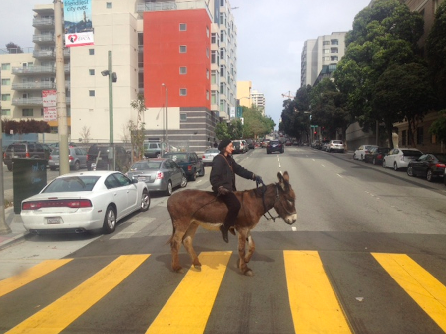 Chill-Ass Donkey in Hayes Valley — The Bold Italic — San Francisco