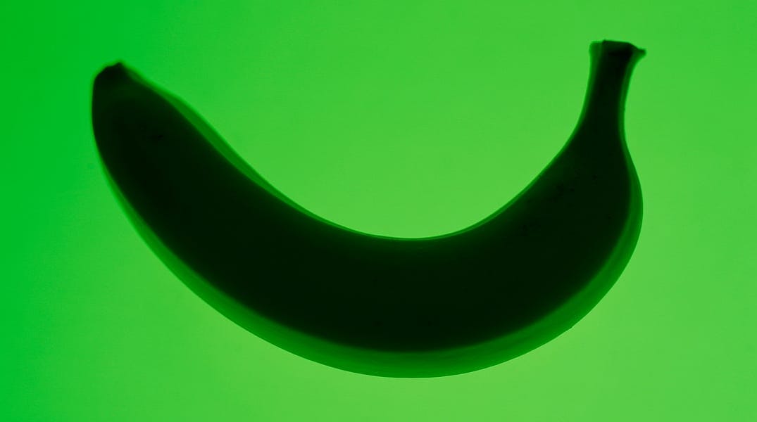 Have Bionic Sex with the First Bionic Dildo (NSFW)