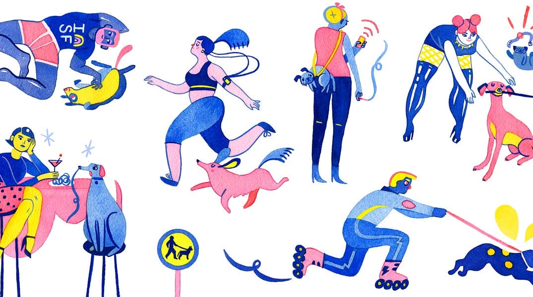 These are the Places to Take Your Dog in SF