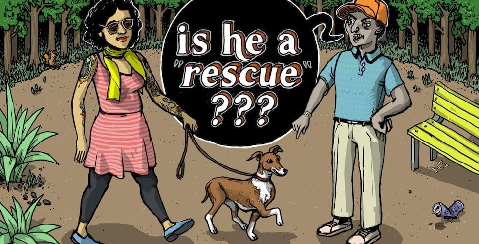 The 7 Kinds of Dog Shaming We See in San Francisco — The Bold Italic — San Francisco