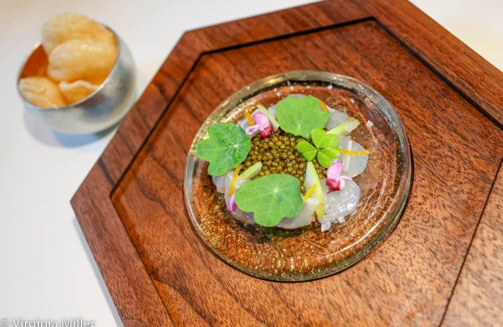 “Aphotic” restaurant review: Wildly sustainable seafood and house-distilled cocktails