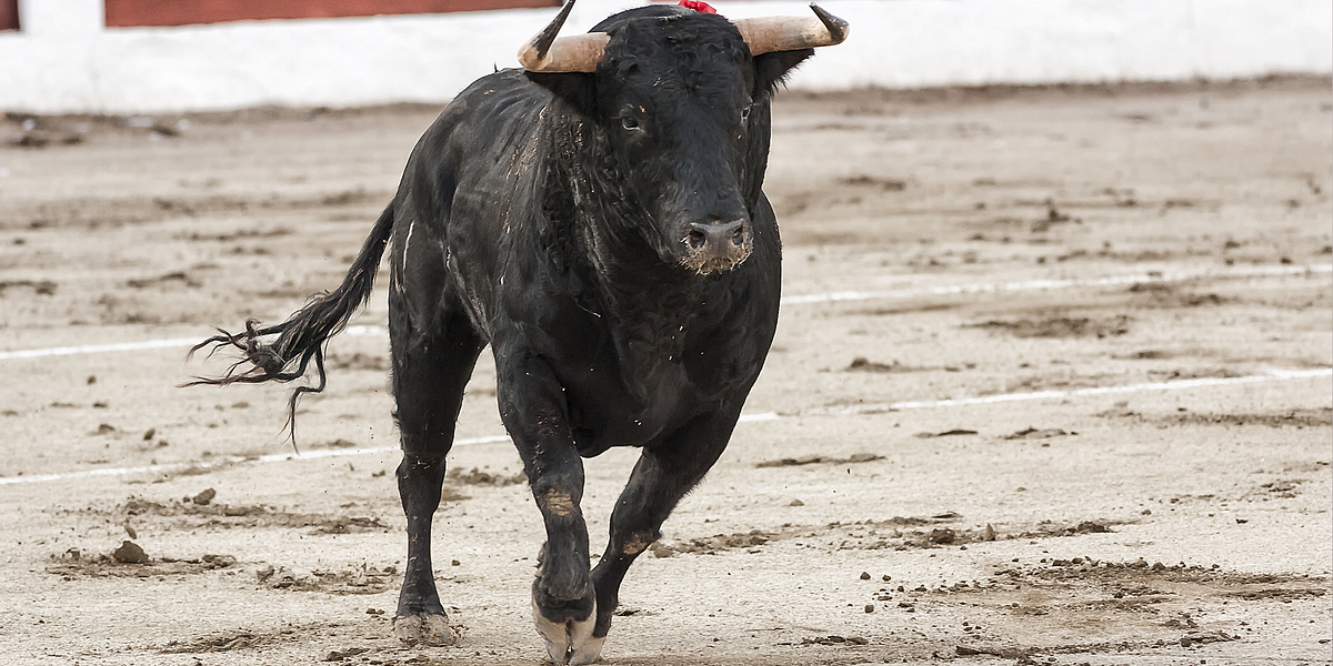 Running of the Bulls and Massive Tomato Fight Coming to Bay Area — The Bold Italic — San Francisco