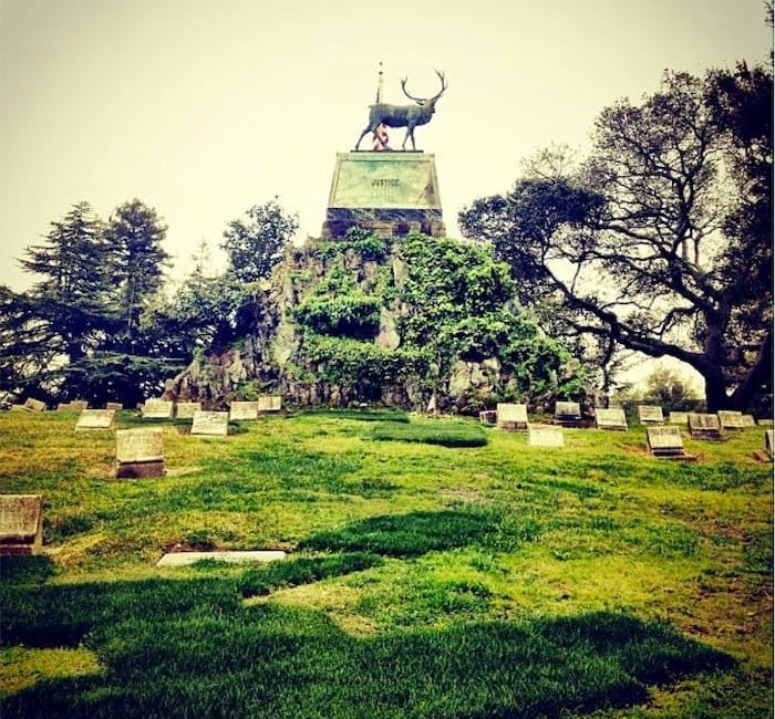 Best Nature Getaways in Oakland — The Bold Italic — San Francisco