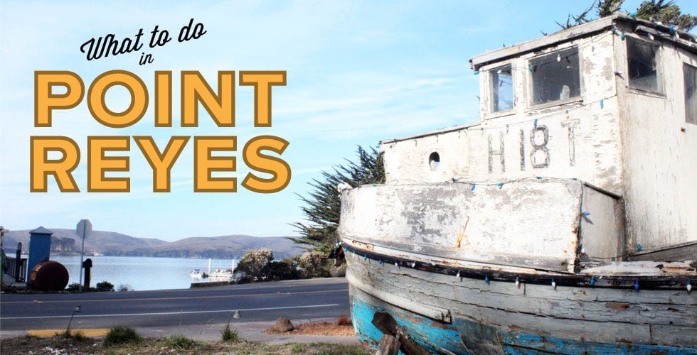 What to Do in Point Reyes