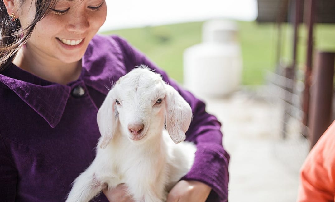 4 Awesome San Francisco Food Bloggers