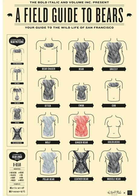 “A Field Guide To Bears” Poster Available Now