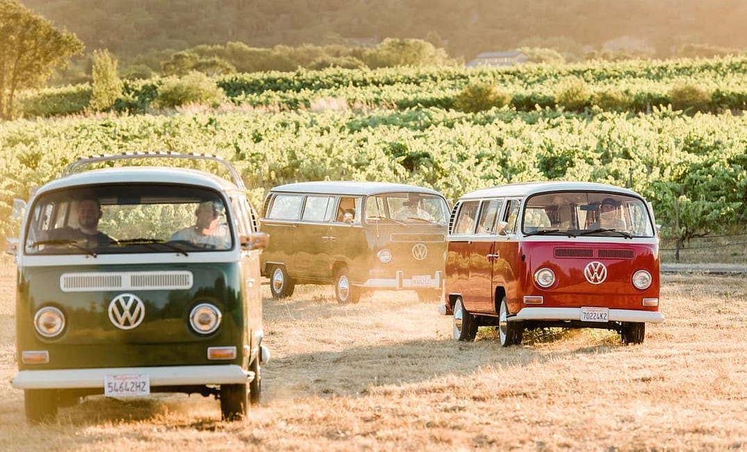 5 Truly Unique San Francisco Activities Open Now