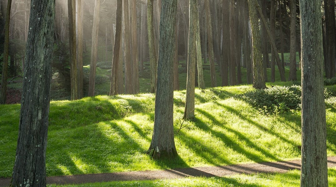 A Guide to San Francisco’s Best Running Trails