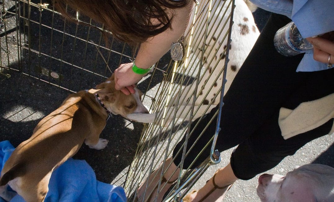 Seven Ways to Make San Francisco a Better Place