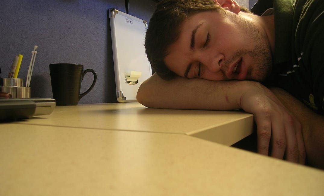 How to Survive a Sunday-Funday Hangover in Your Cube — The Bold Italic — San Francisco