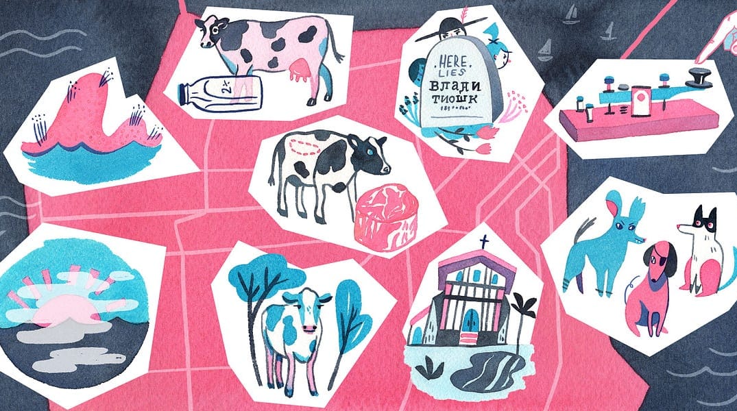 Where San Francisco Neighborhoods Got Their Names