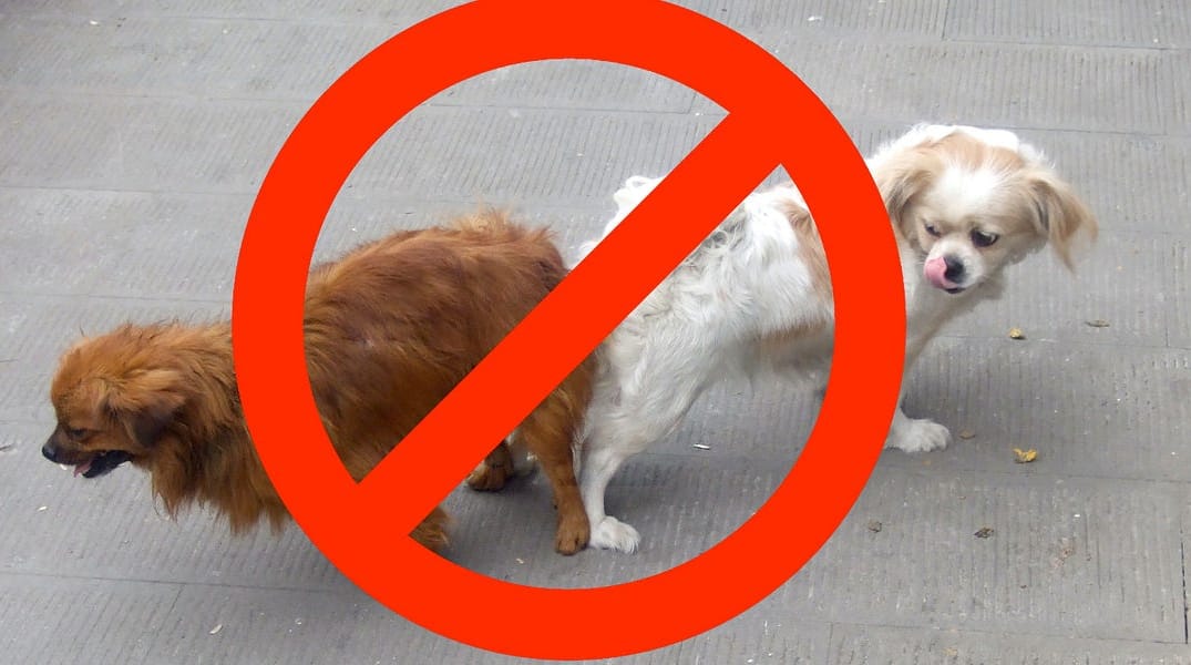 10 Weird LA Laws Still On the Books — The Bold Italic — San Francisco