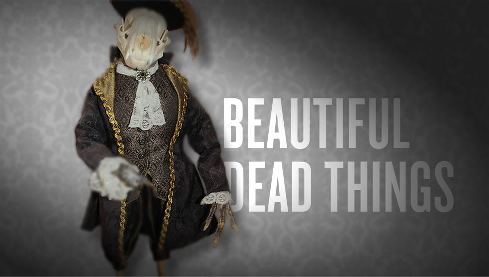 Beautiful Dead Things