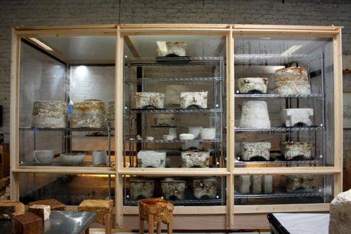 The Freaky Fungal Furniture of Phil Ross