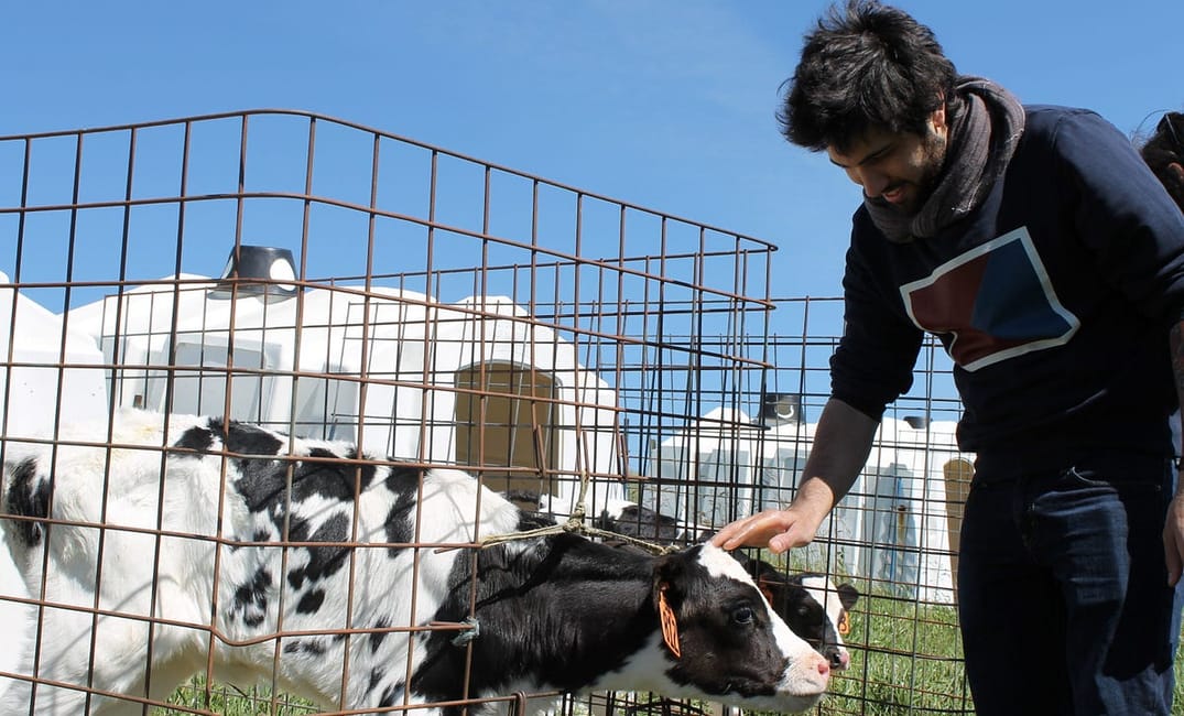 Chef’s Day Off: Fiorella’s Virtuoso Chef Shows You His Favorite Bay Area Haunts