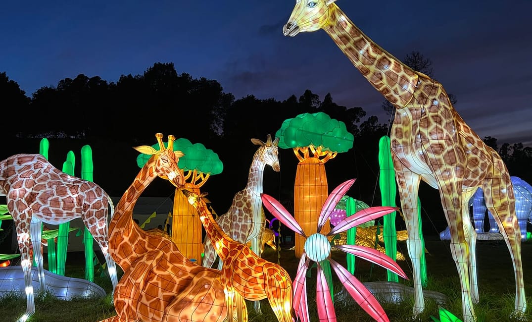 Glowfari at the Oakland Zoo Is Amazing This Year