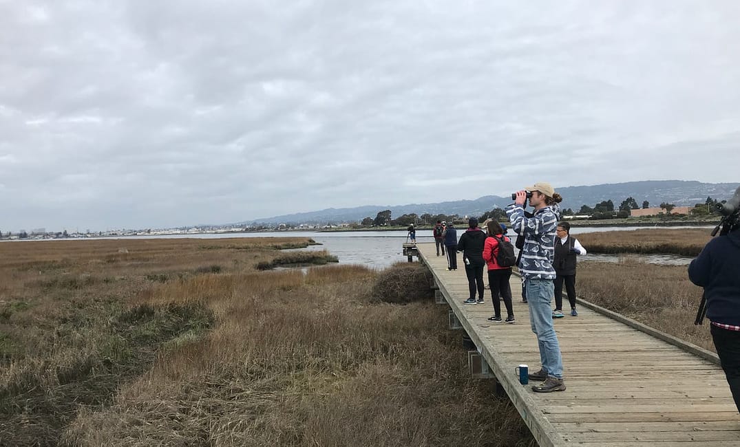 How Birdwatching Helped Ease My Anxiety