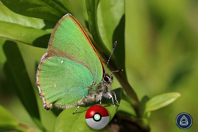 Introducing The Bold Italic’s New Augmented-Reality Game