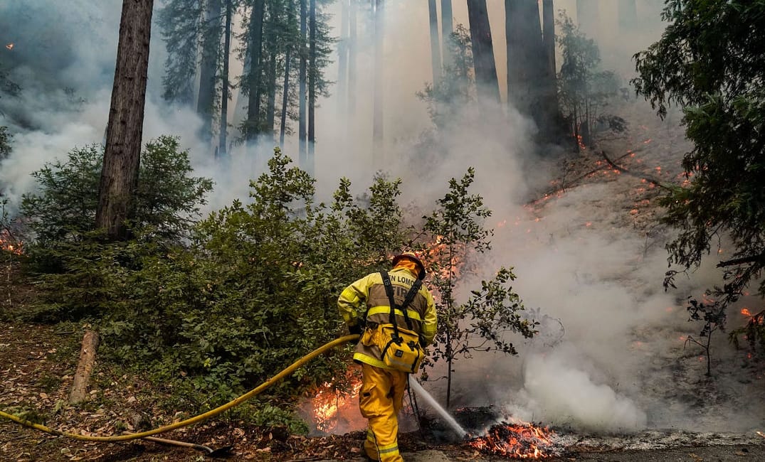 My Heart Aches for Santa Cruz