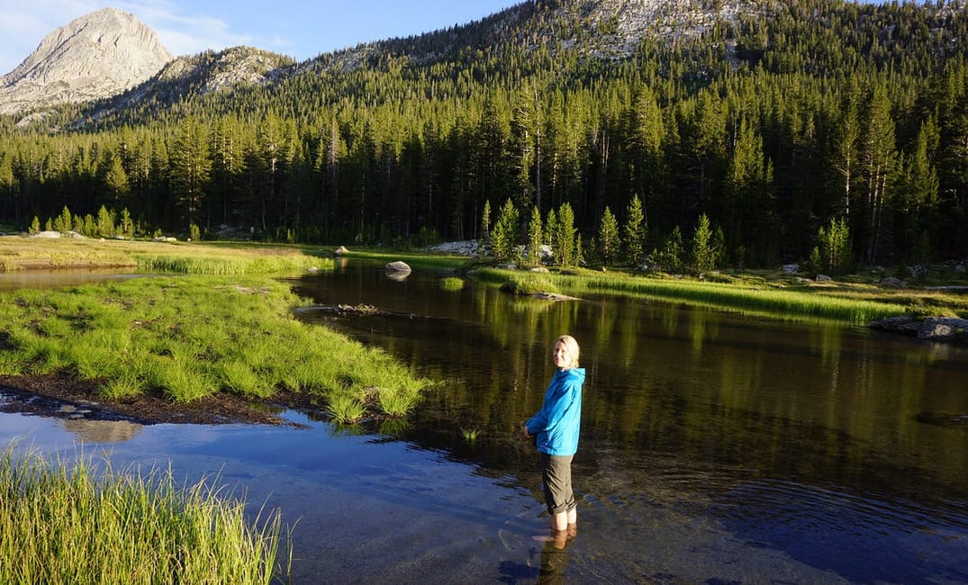 Watching Your State Go Up in Flames