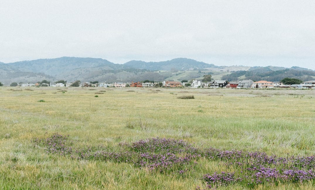 Ocean Calling: Documenting the Laid-Back Beauty of Half Moon Bay, in Photos