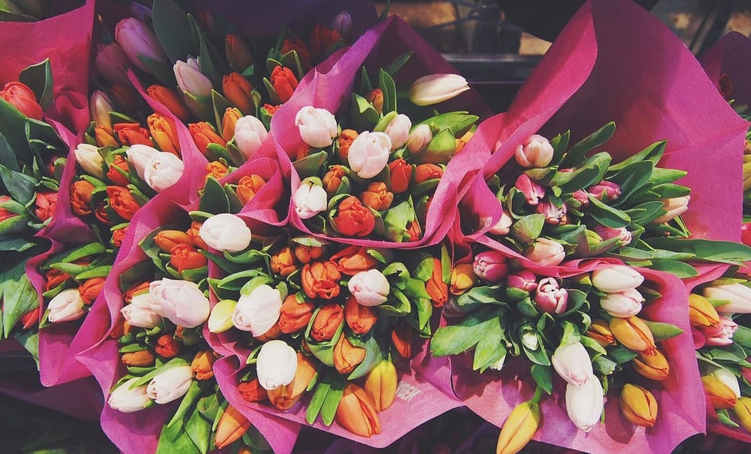 TBI’s 5 Best: Flower Shops in San Francisco