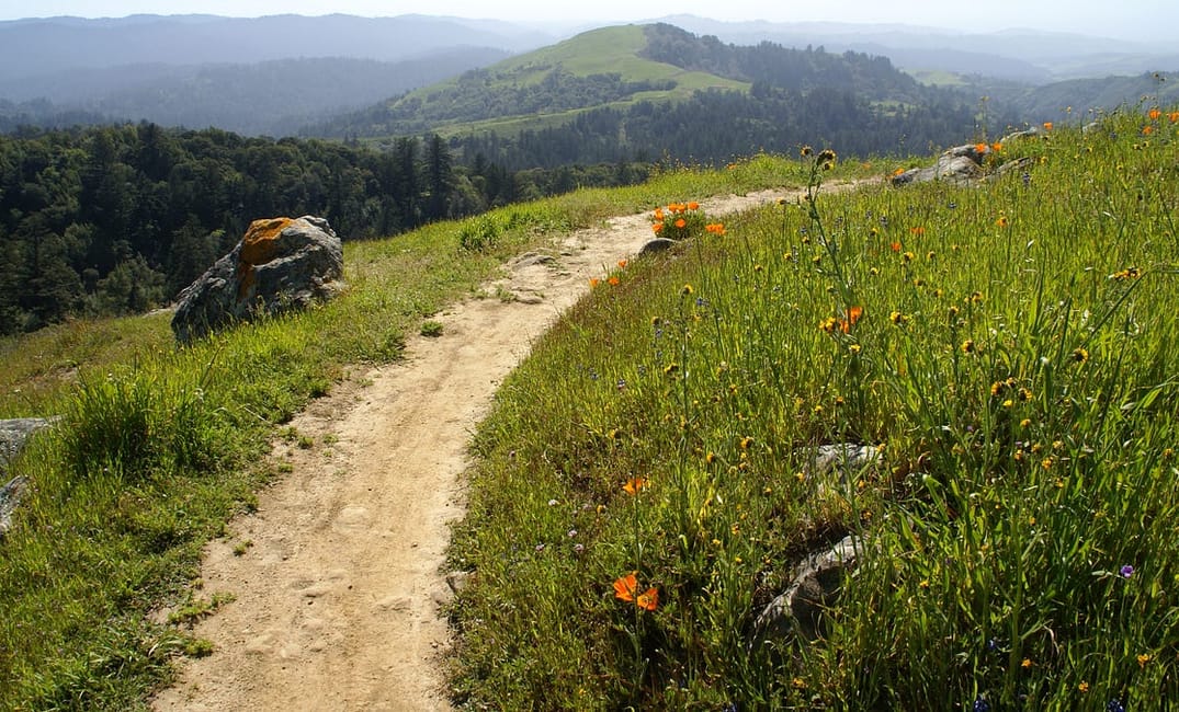 The Most Scenic and Spacious Hikes in the South Bay