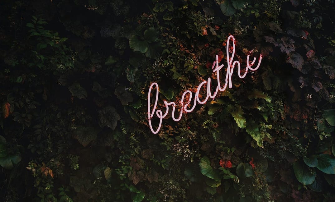 How to Treat Yourself in San Francisco