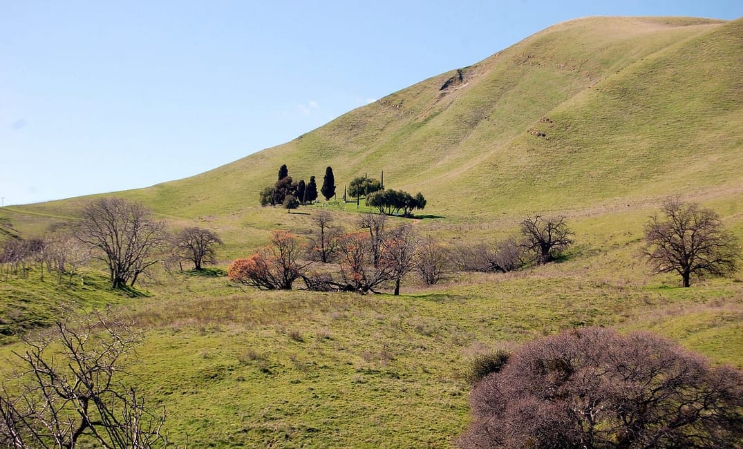 The Weird and Wonderful History Behind East Bay Parks