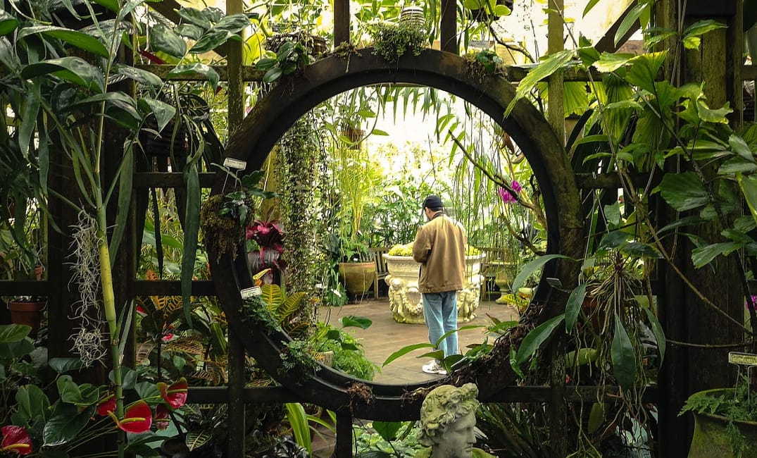 Ways to Take a Mental Health Day in San Francisco