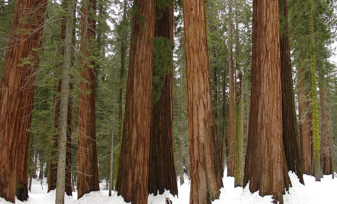 Your Winter Guide to Northern California Vacations