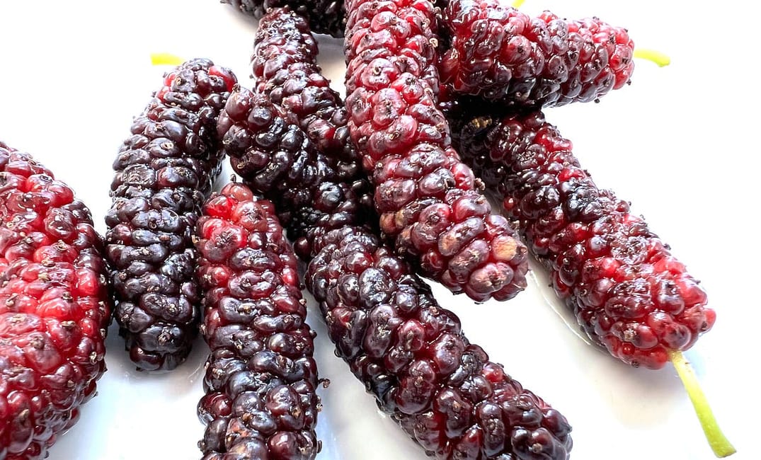 Have You Tried This Bay Area Superfood Yet?