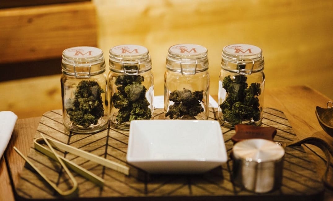 Weekly News Roundup: Pot Edition