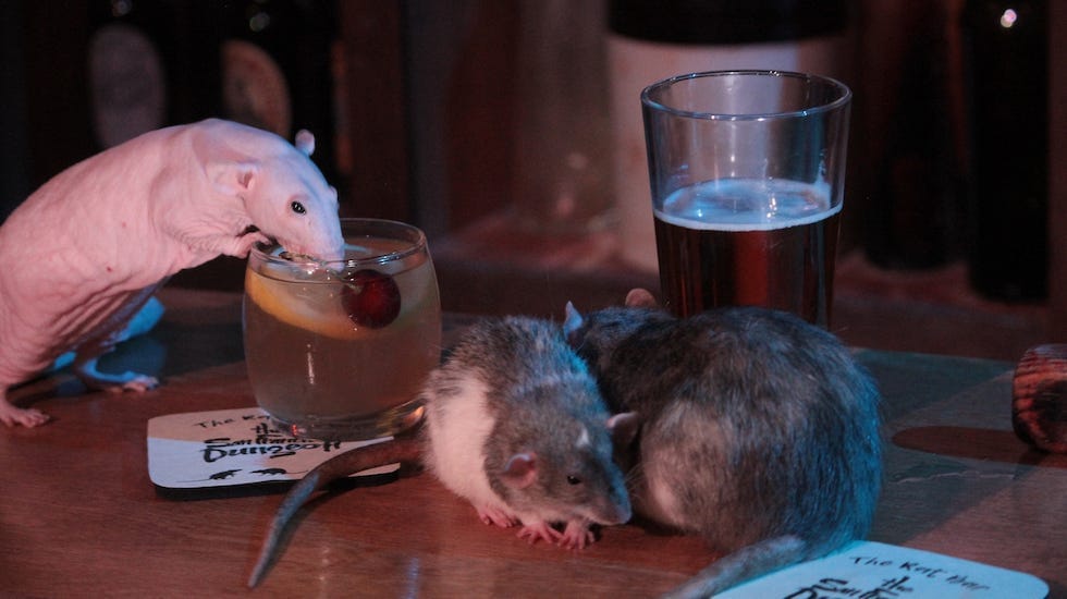 Inside San Francisco’s Pop-Up Rat Bar