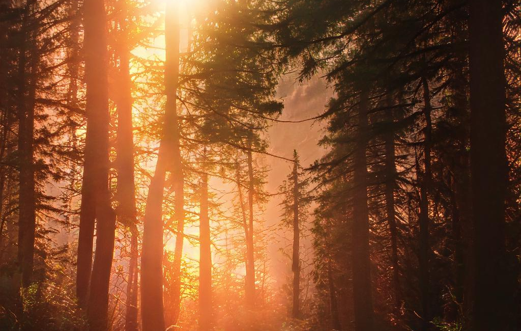 I Asked a Robot to Imagine Iconic Bay Area Scenes