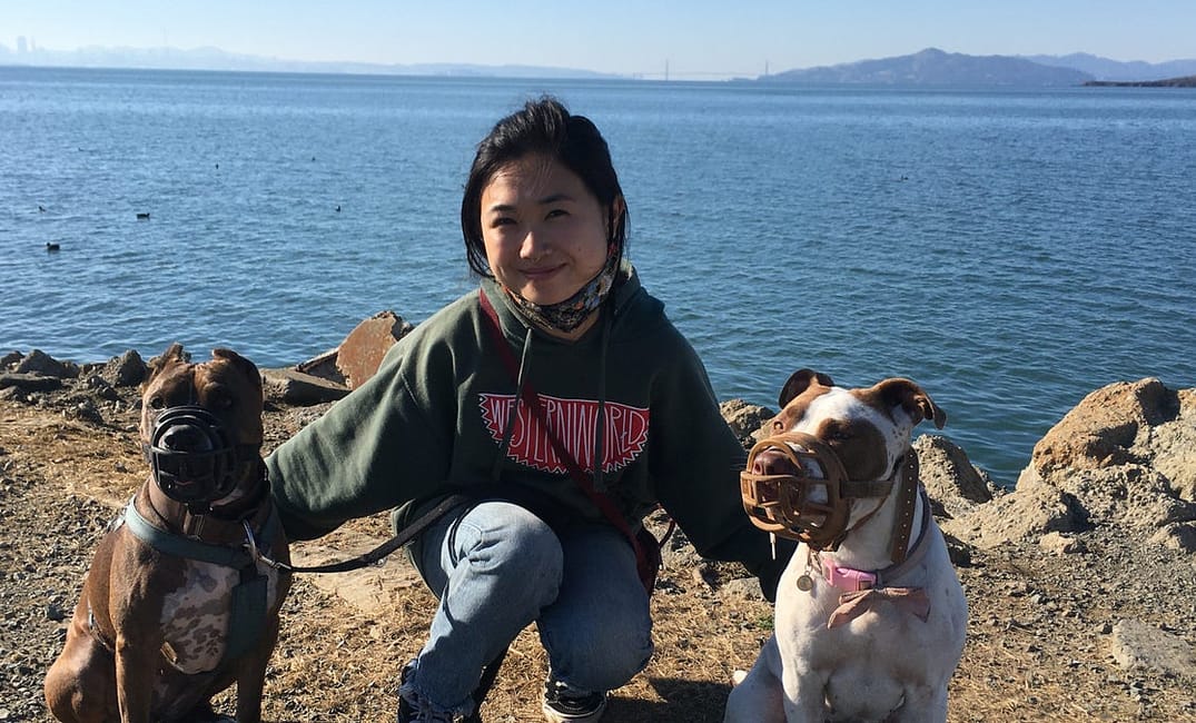 My Rescue Pit Bull Helped Me Leave a Relationship and Find New Love