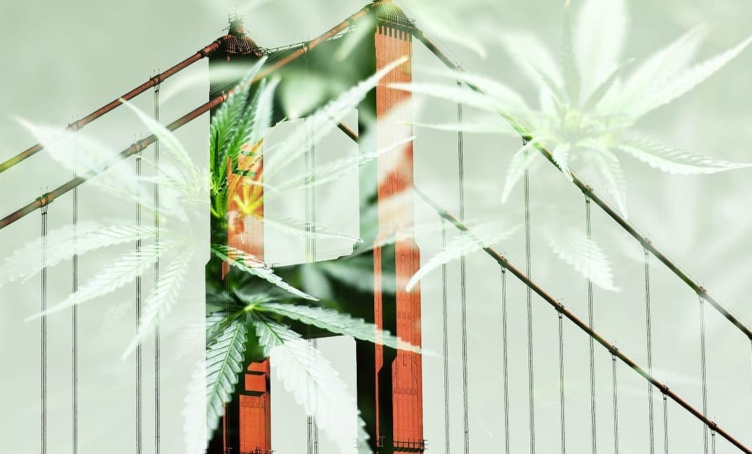 The Winner of the Pandemic: The Weed Industry