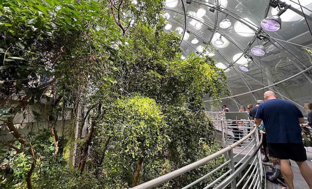 5 Awesome Bay Area Kids’ Activities for a Rainy Day