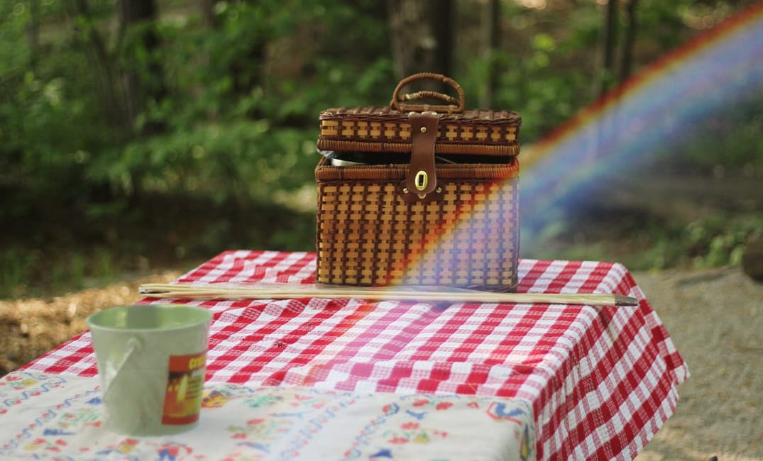 What Are the Best Picnic Spots in San Francisco?