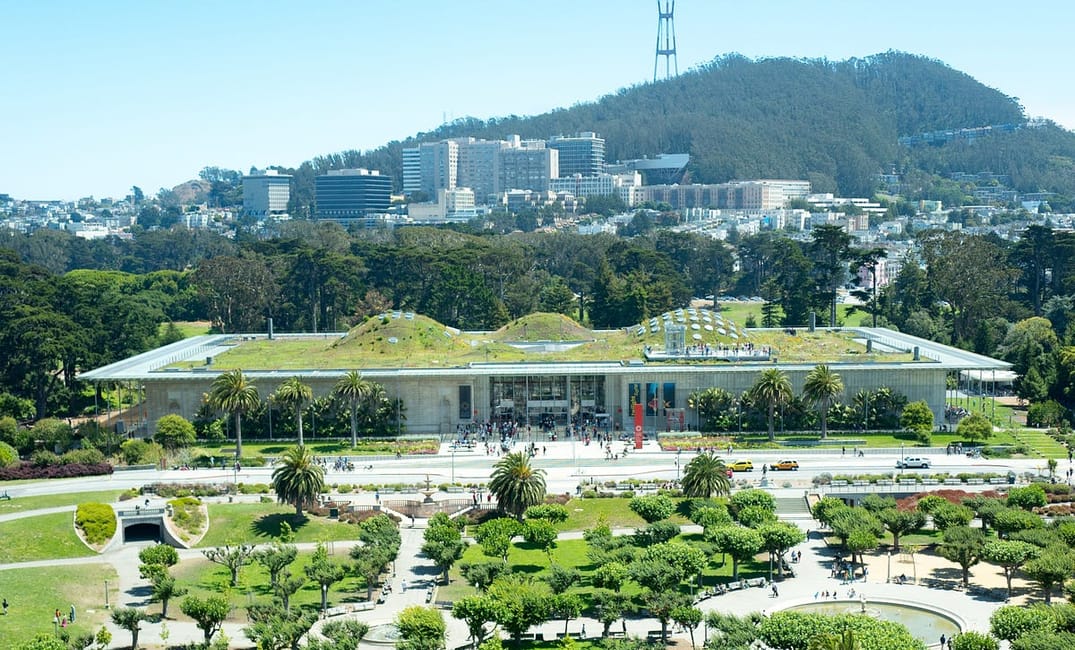 3 Amazing Living Roofs in San Francisco to Visit