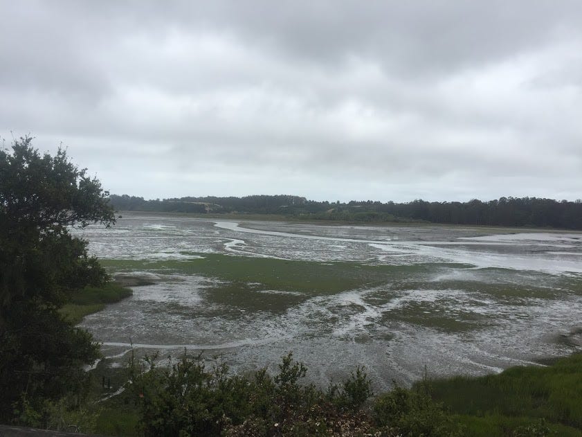Six Hidden Bay Area Hikes You Might Not Know