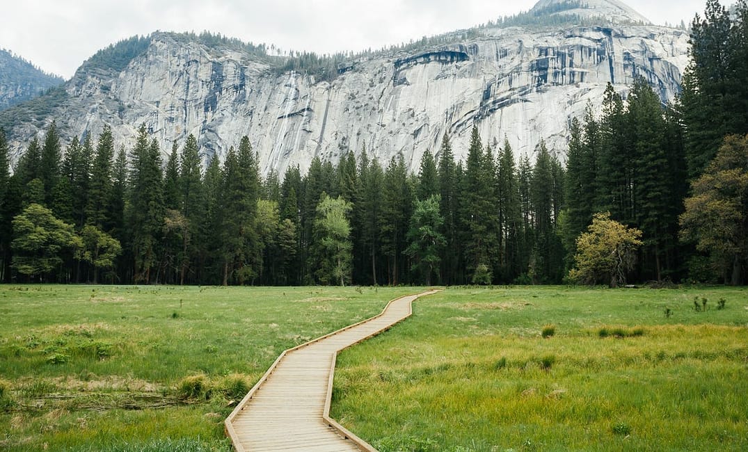 The 5 Best Yosemite Hikes You Can’t Miss