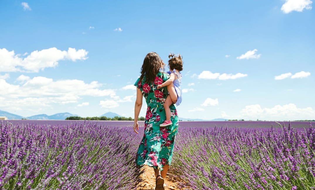 Wildfires and a Pandemic Pushed us Back to the East Coast