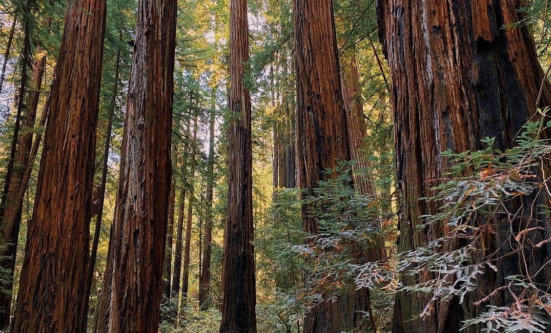 Weeks After We Moved Into Our First Home, We Were Forced to Evacuate