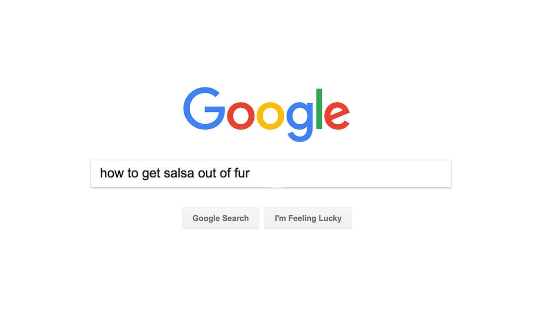 Questions for the Person Who Wore a Fur Coat to the Taqueria