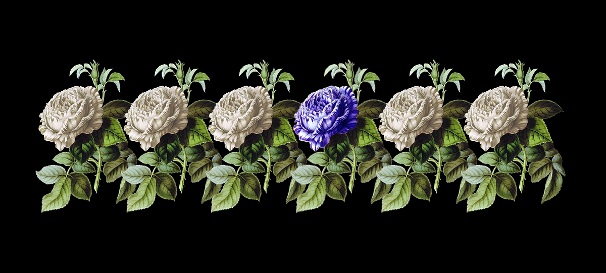 I’m Still Not Your Black Friend