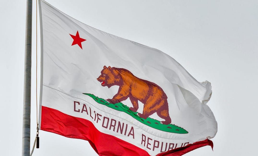 The Sad Story of the Bear on California’s State Flag