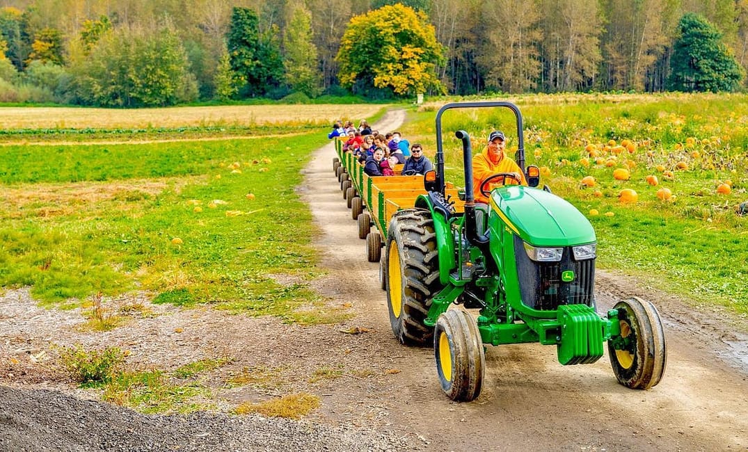 Here Are the Most Wholesome Fall Activities in the Bay