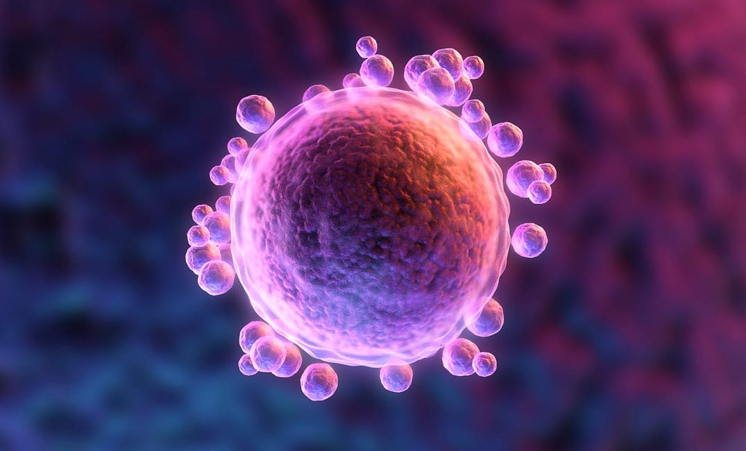 When It Comes to Fertility, Is More Information Really Best?